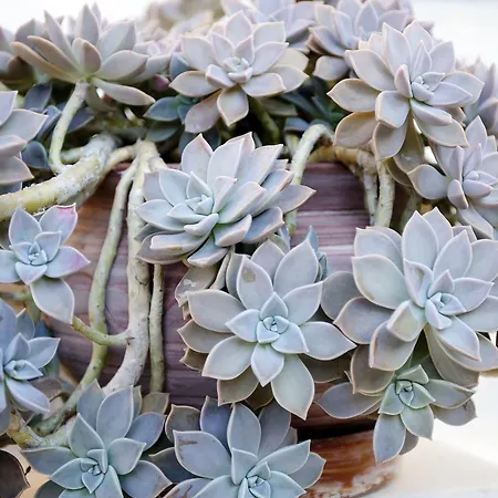 Georgio Seaside 3* Finikounda