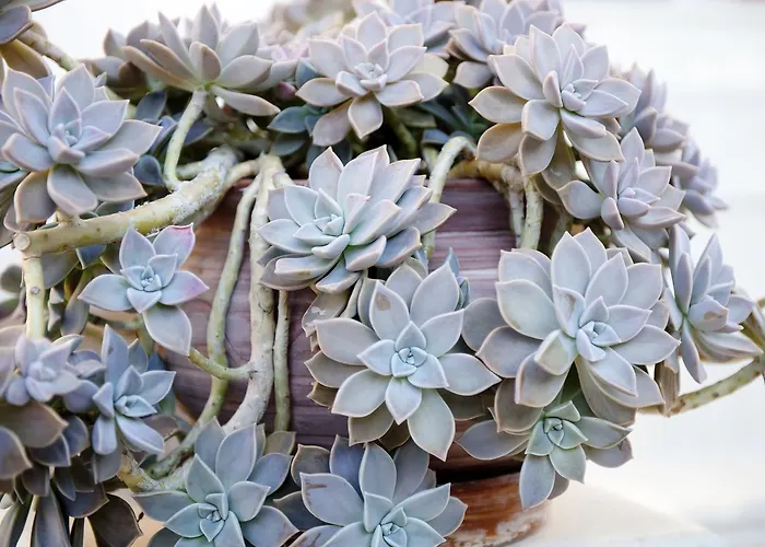 Georgio Seaside 3* Finikounda